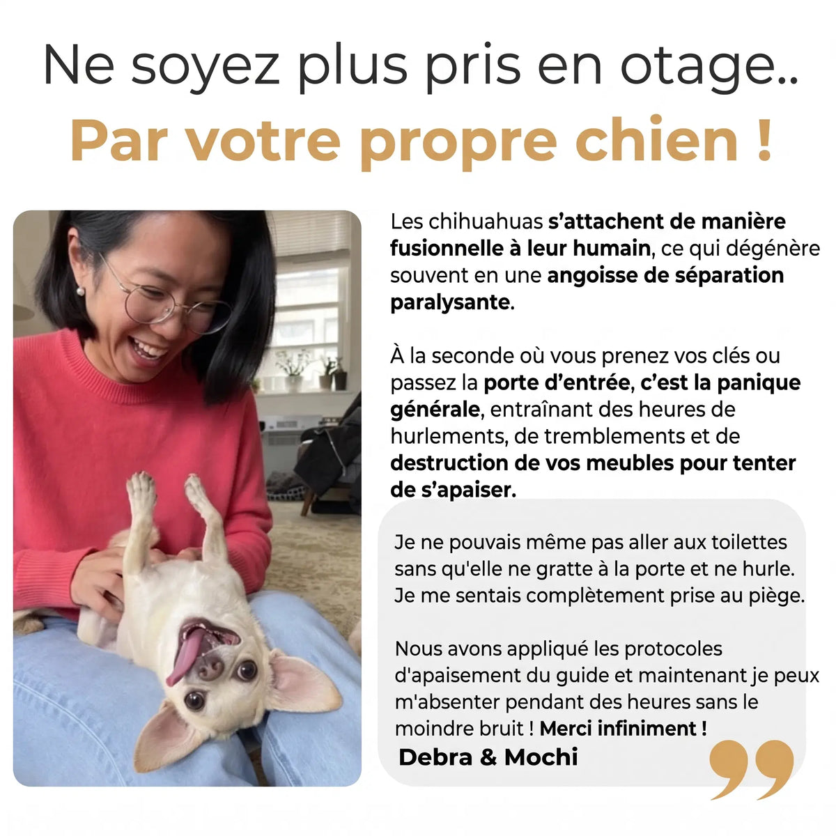Le Guide Complet du Chihuahua